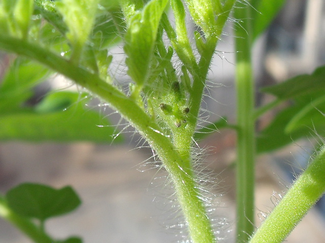 DSCF2887.JPG