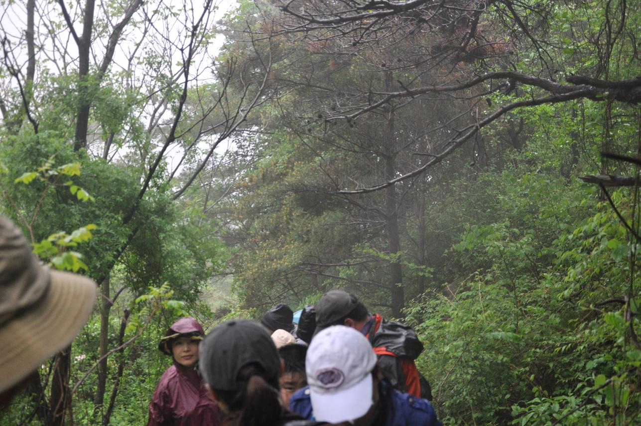 5.23雨中昆嵛山 030.jpg