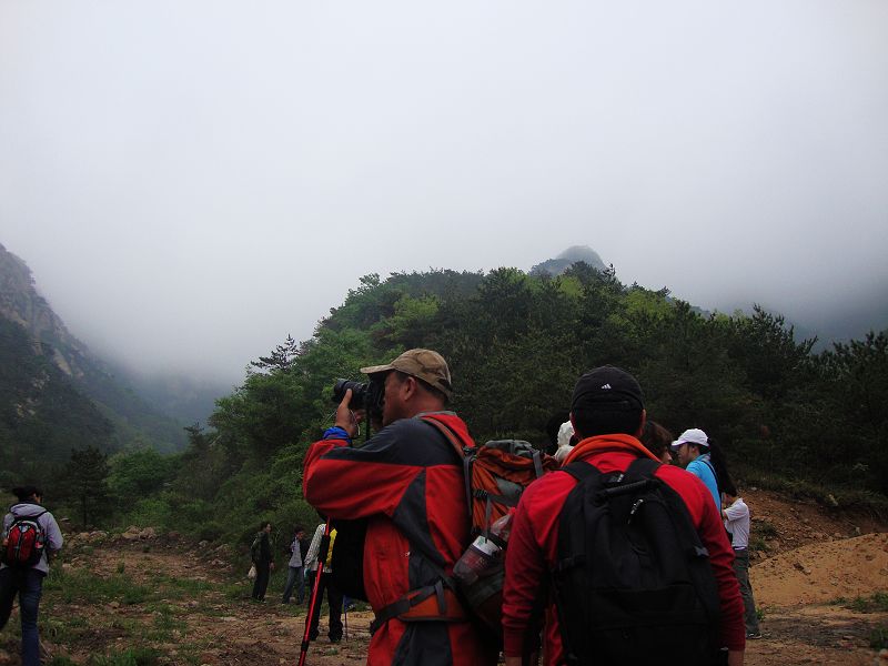 细雨蒙蒙、云雾缭绕的昆嵛山吸引了俺姑爷恐龙哥哥的目光
