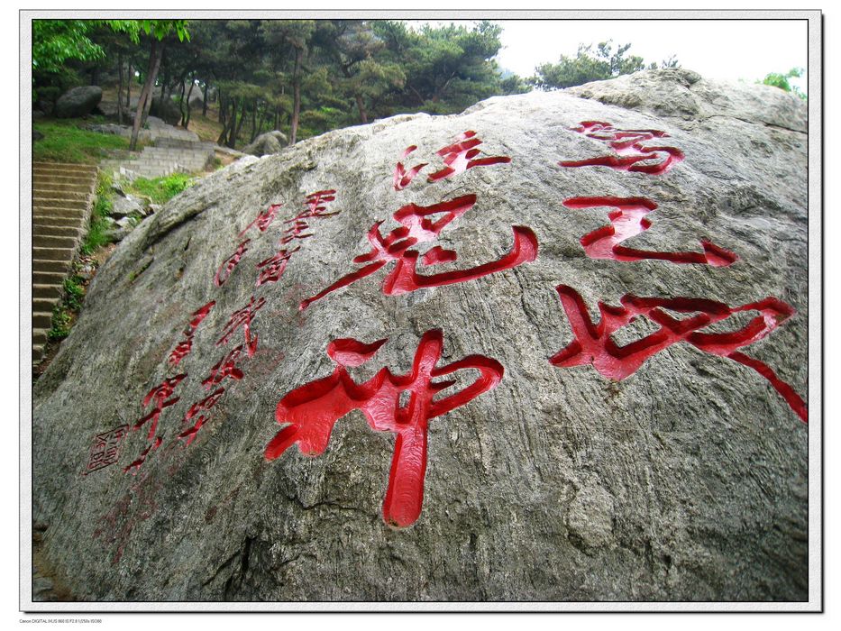 nEO_IMG_照片 204.jpg