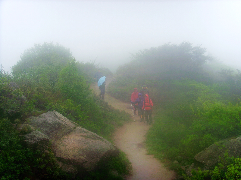 昆嵛山 (19).jpg