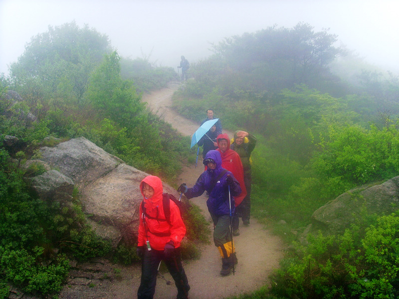 昆嵛山 (21).jpg