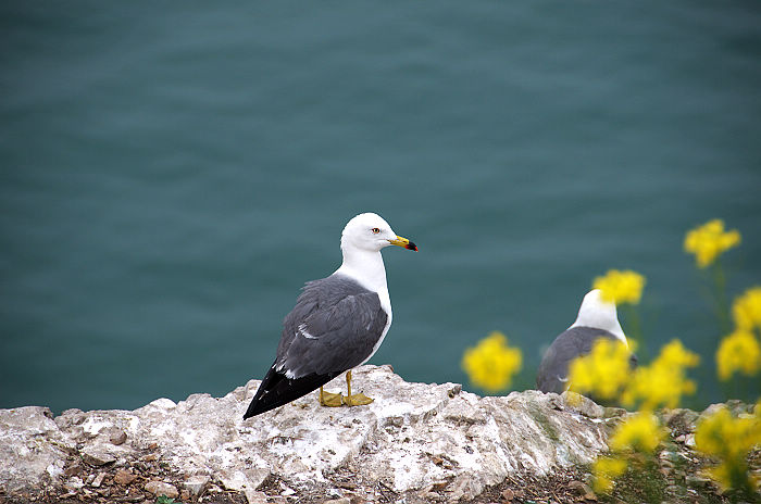 DSC_6578.jpg