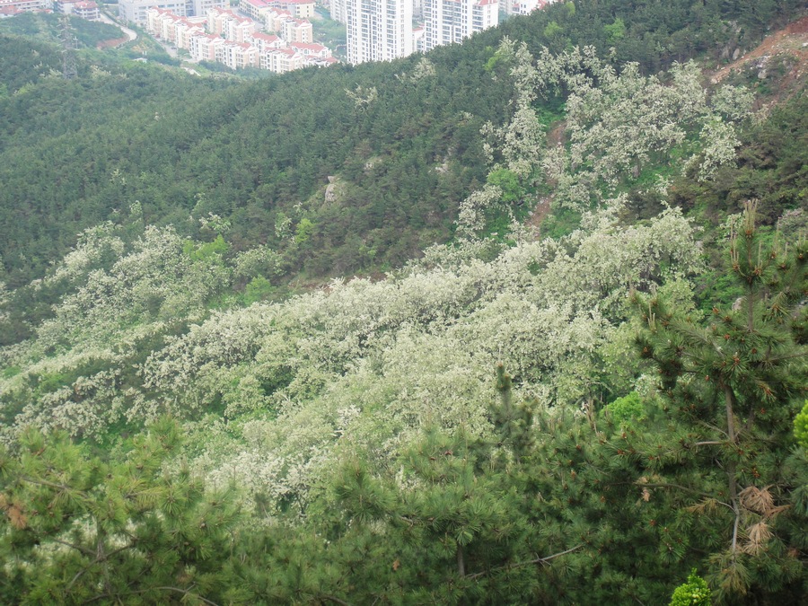 DSC03550.jpg