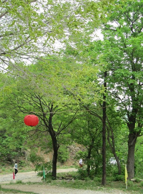 山林.jpg