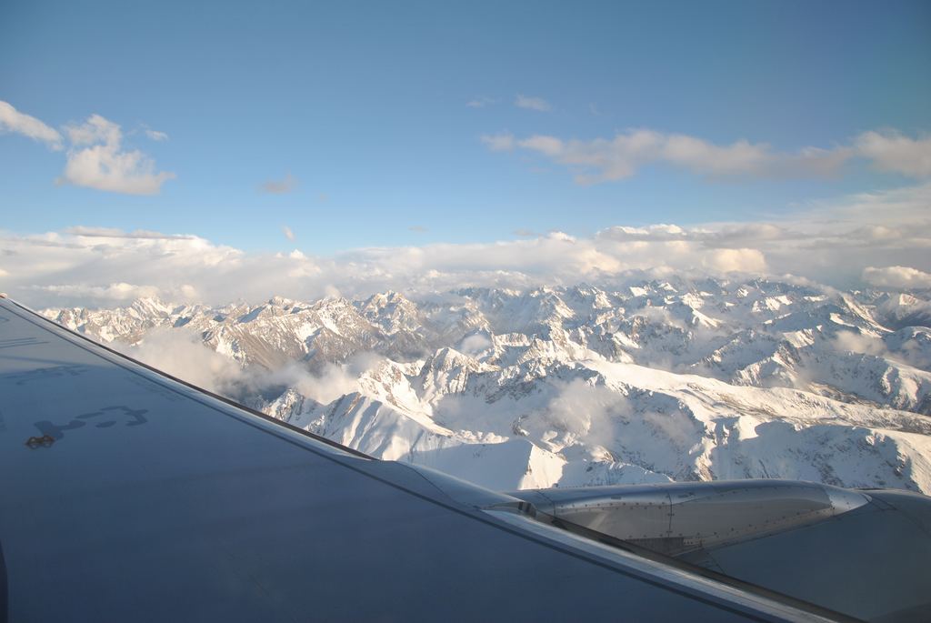DSC_0181.jpg