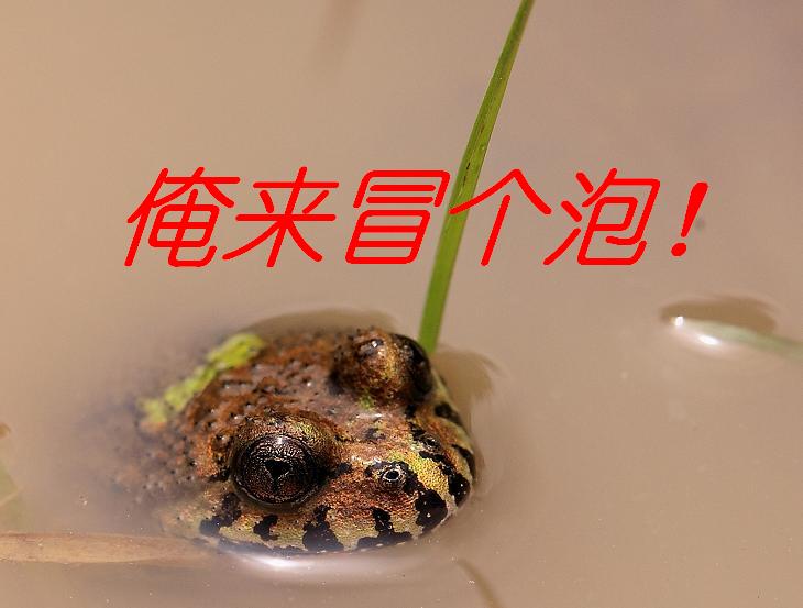 冒泡.JPG