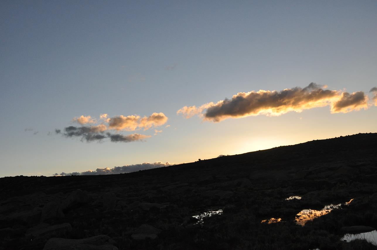 DSC_0552.JPG
