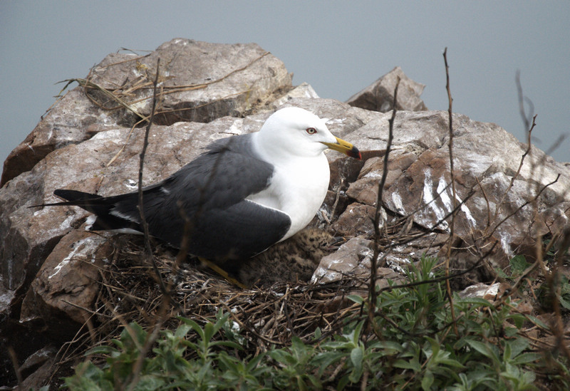 DSC_0059_光影_1.jpg