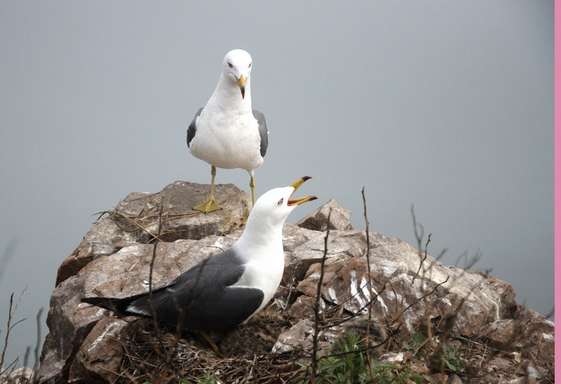 DSC_0060_光影_1.jpg