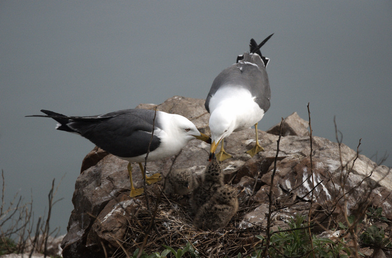 DSC_0067_光影_1.jpg
