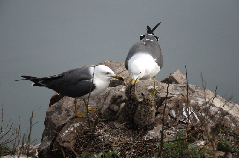DSC_0069_光影_1.jpg