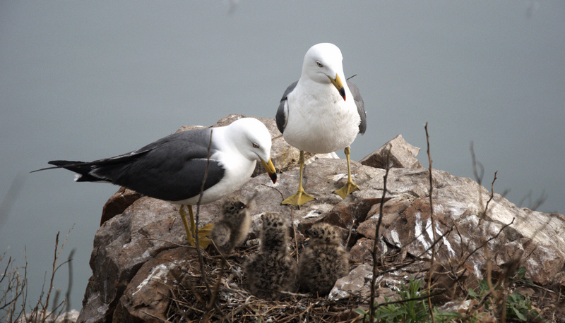 DSC_0071_光影_1.jpg