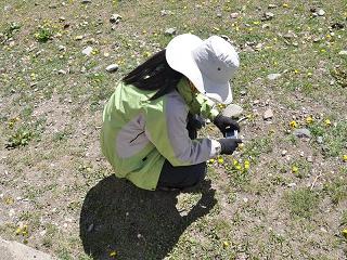 PhotoCap_208.jpg