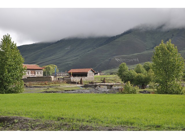 PhotoCap_015.jpg