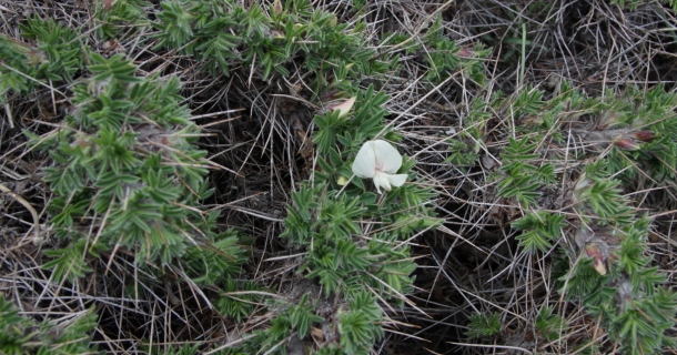 DPP_0106.jpg