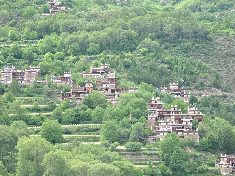 PhotoCap_102.jpg