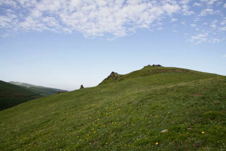 DPP_2047.JPG