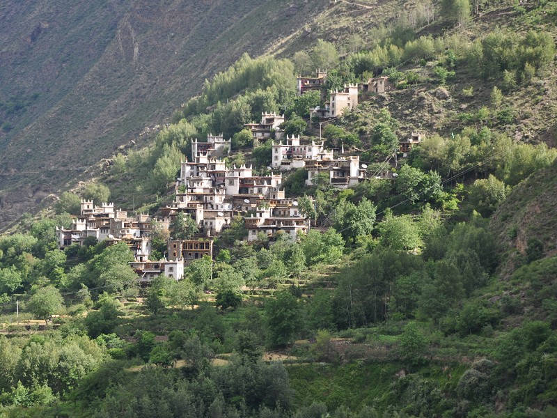PhotoCap_302.jpg
