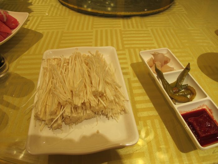 照片 262.jpg