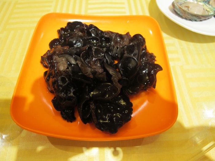 照片 263.jpg