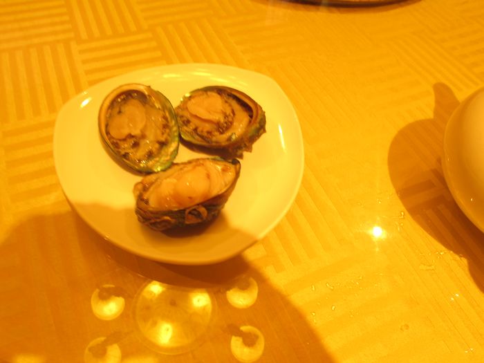 照片 254.jpg