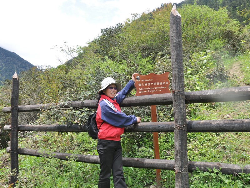 PhotoCap_159.jpg