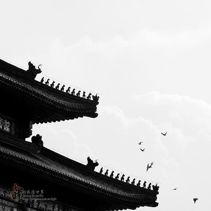 _MG_1708.jpg