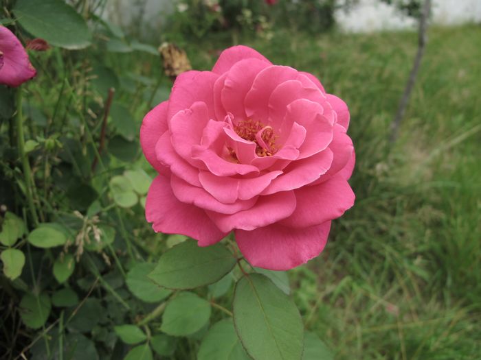 照片 029.jpg