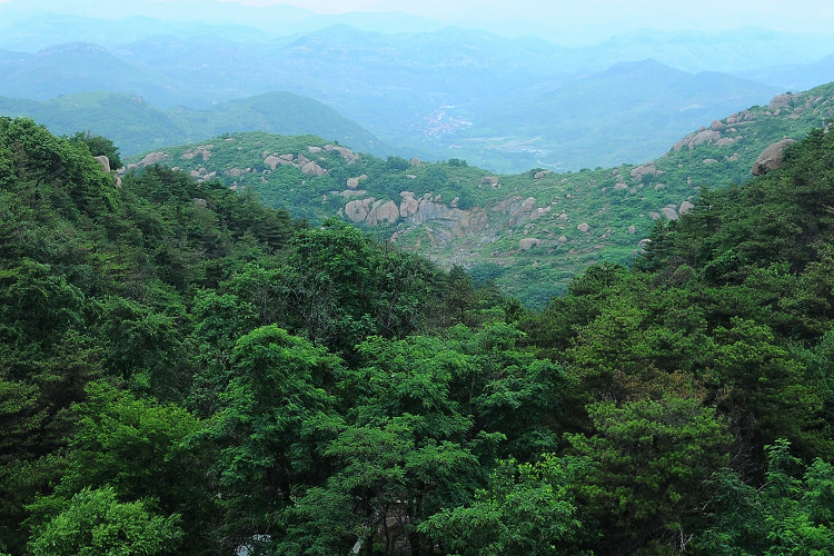 DSC_3474.jpg