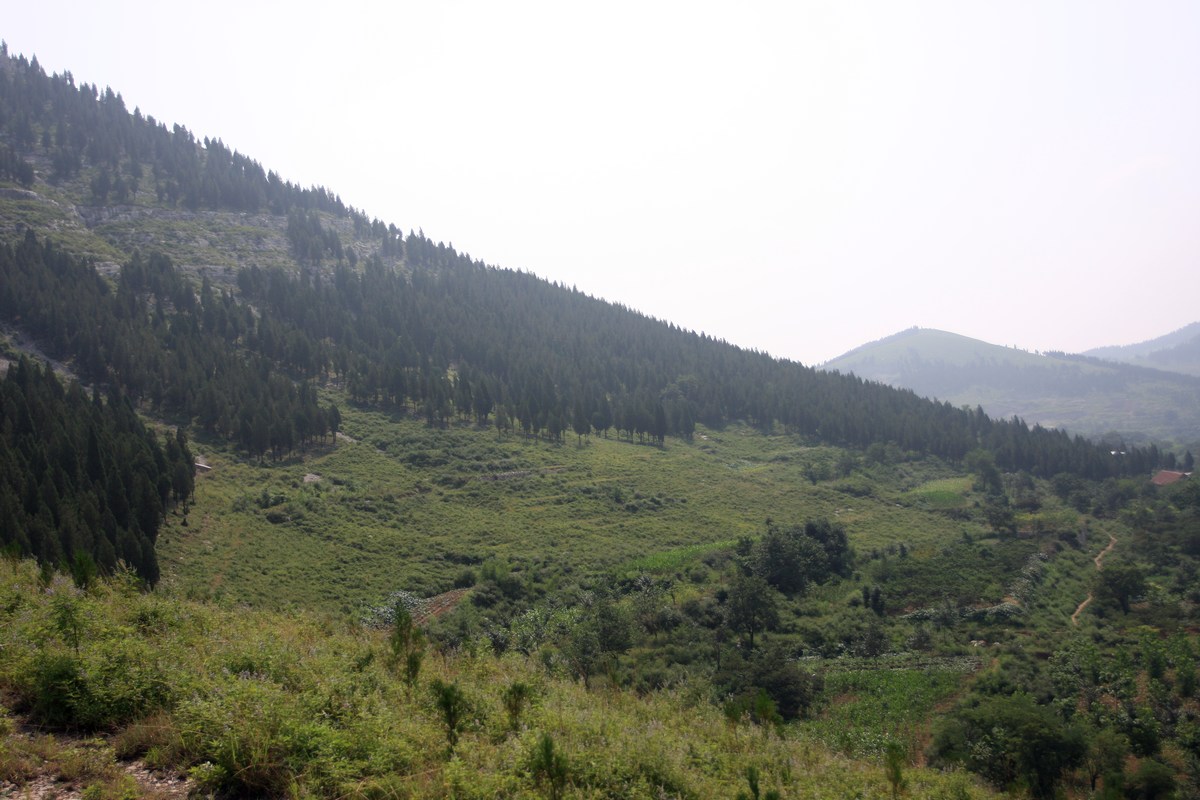 IMG_0718.JPG