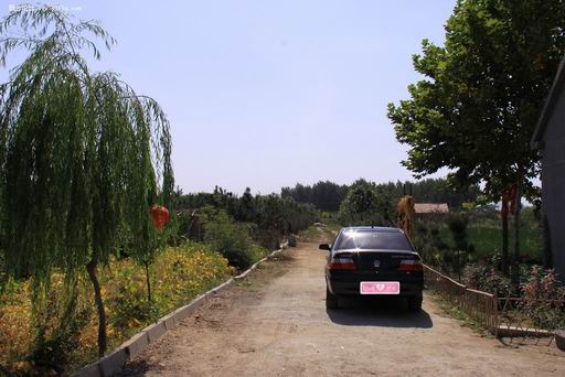 调整大小 0909232335ce3290282c0dd87f.jpg