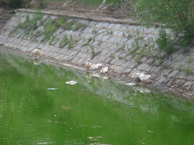 调整大小 DSC05022.JPG