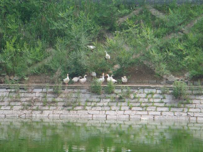 调整大小 DSC05023.JPG