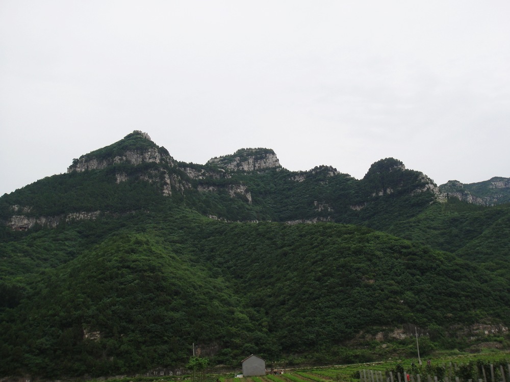 DSC04274.JPG