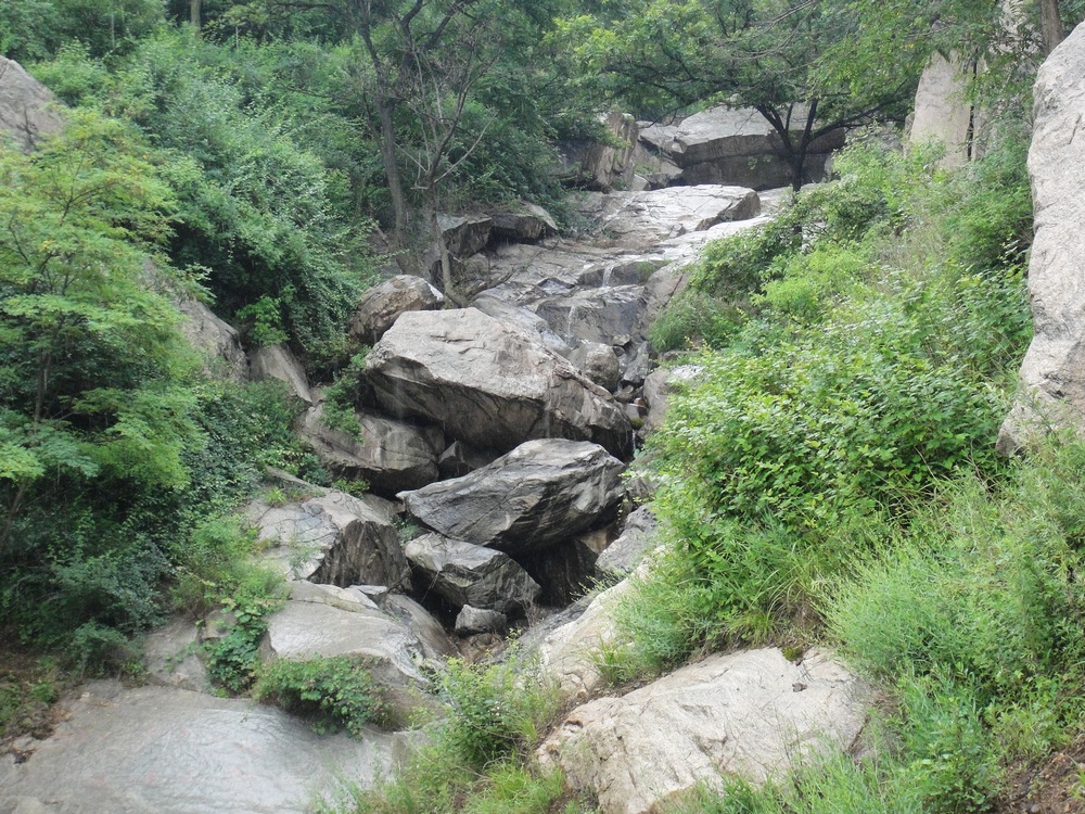 DSC04353.JPG