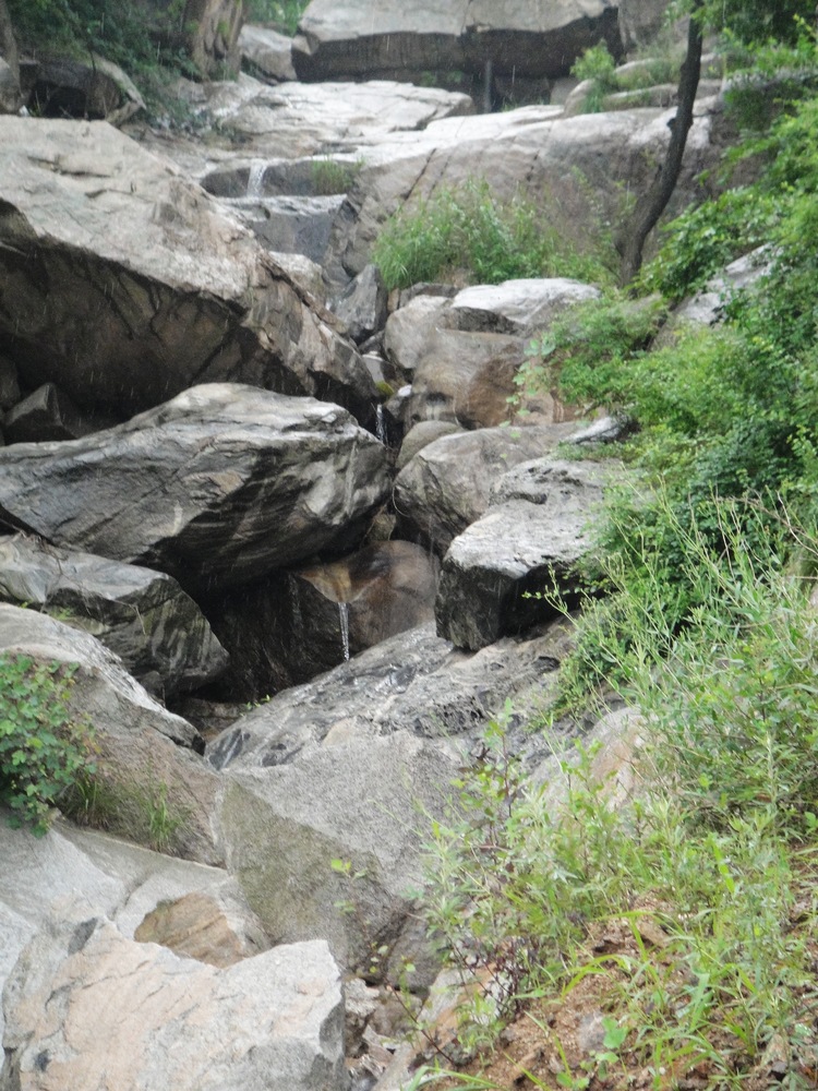 旋转 DSC04357.JPG