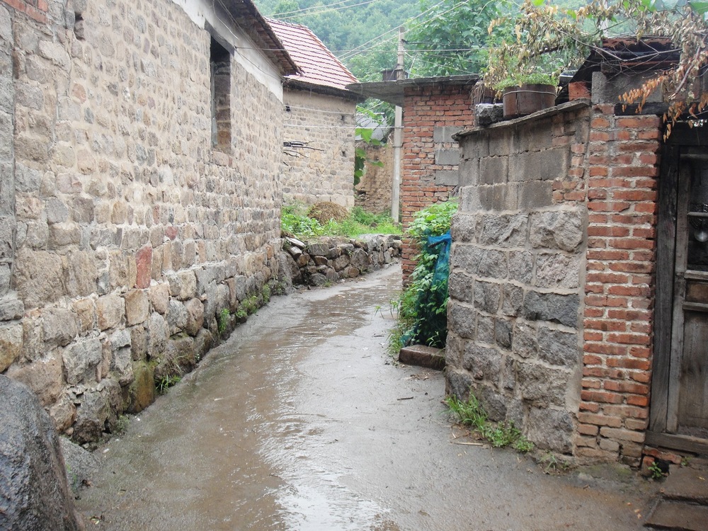 DSC04422.JPG
