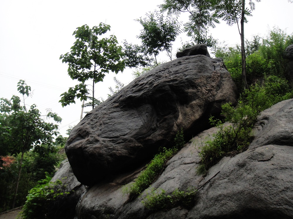DSC04370.JPG
