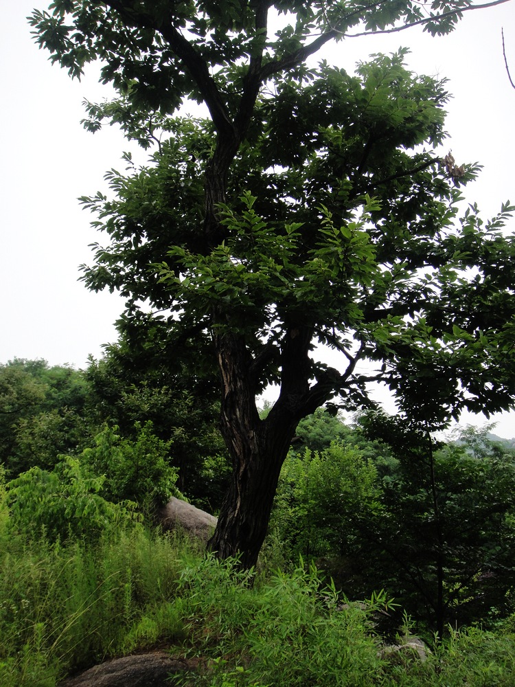 旋转 DSC04397.JPG
