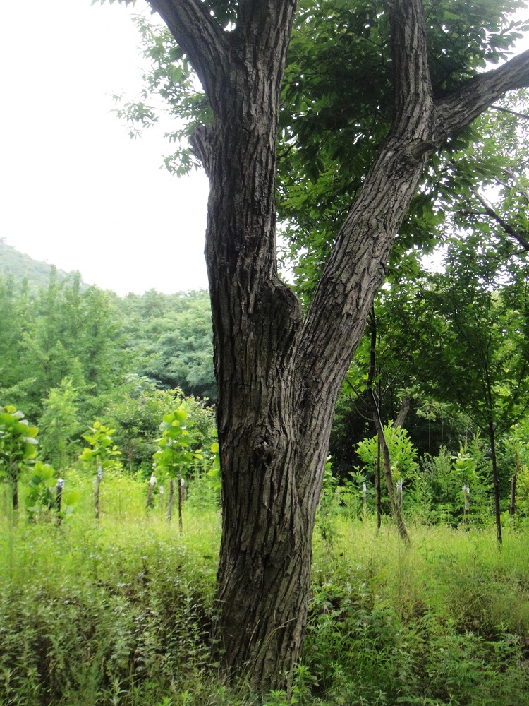 旋转 DSC04406.JPG