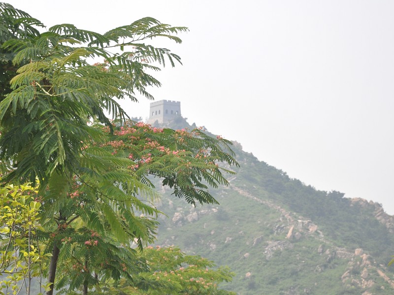 PhotoCap_018.jpg