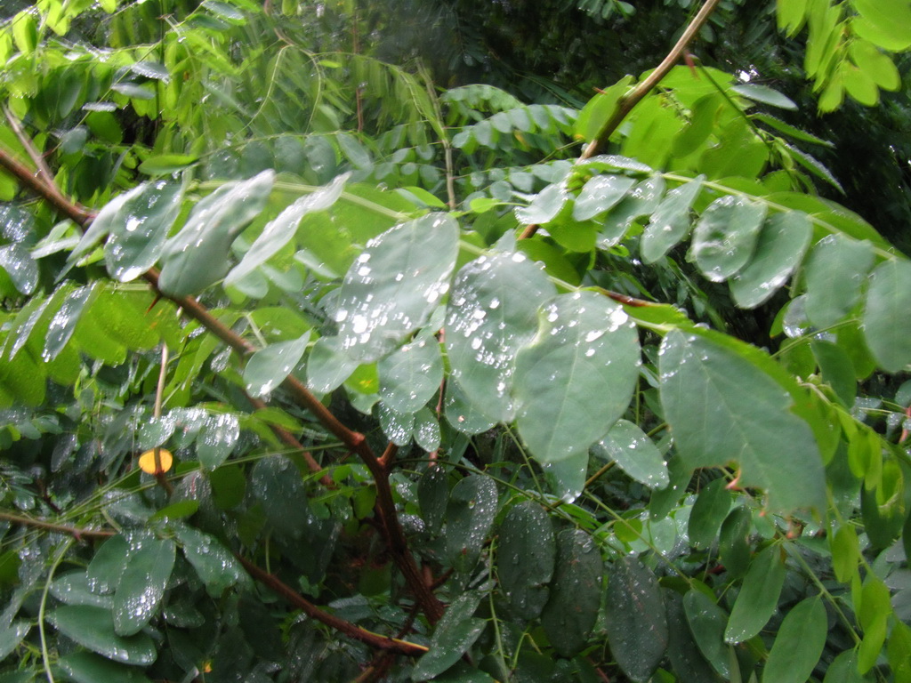 雨中海边 047.jpg