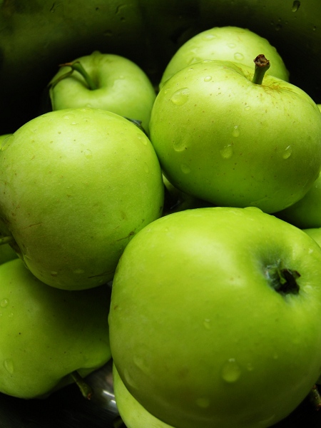 DSCN6560.JPG