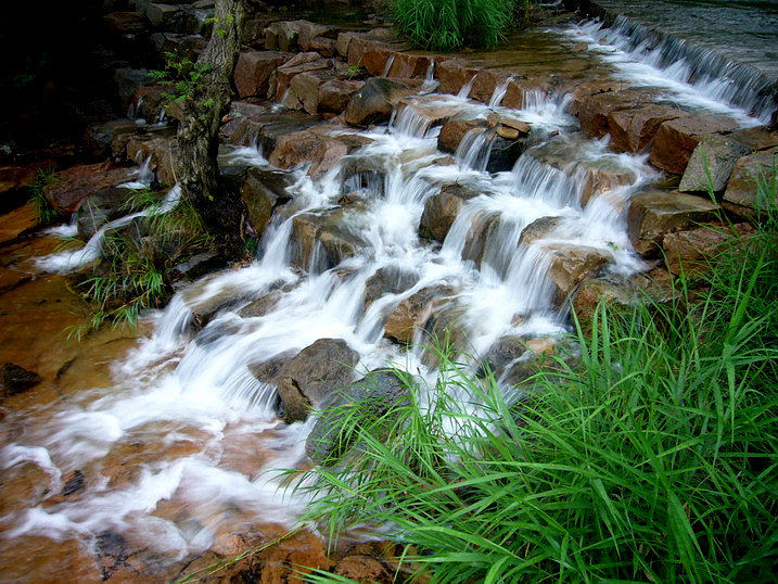 P1170752_缩小大小.JPG