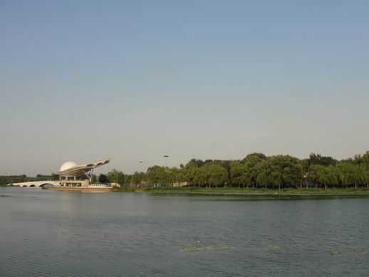 调整大小 DSC04201.JPG