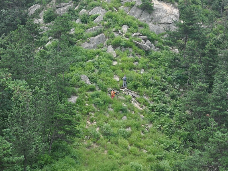 PhotoCap_046.jpg