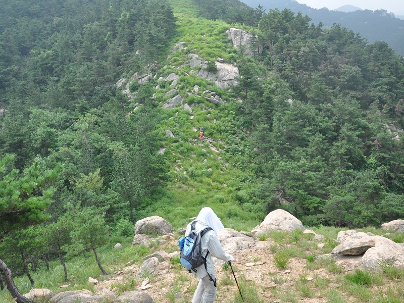 PhotoCap_047.jpg