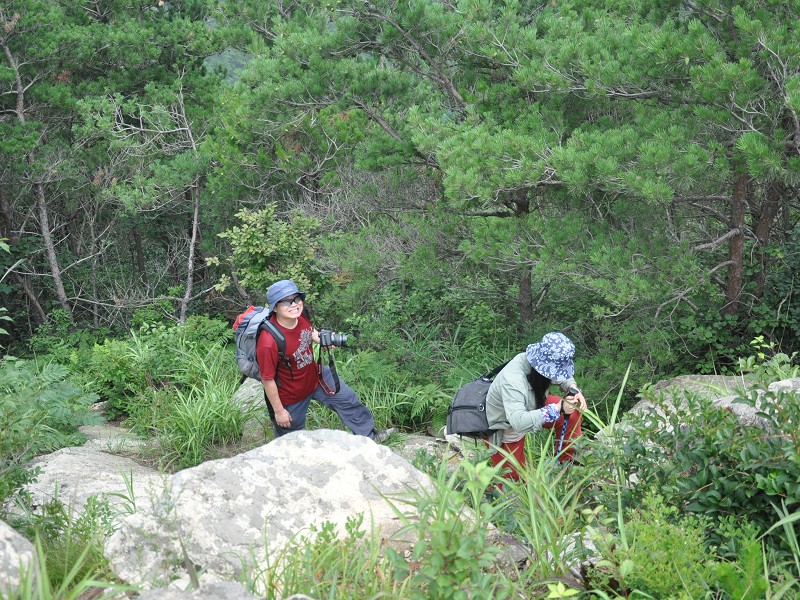 PhotoCap_123.jpg