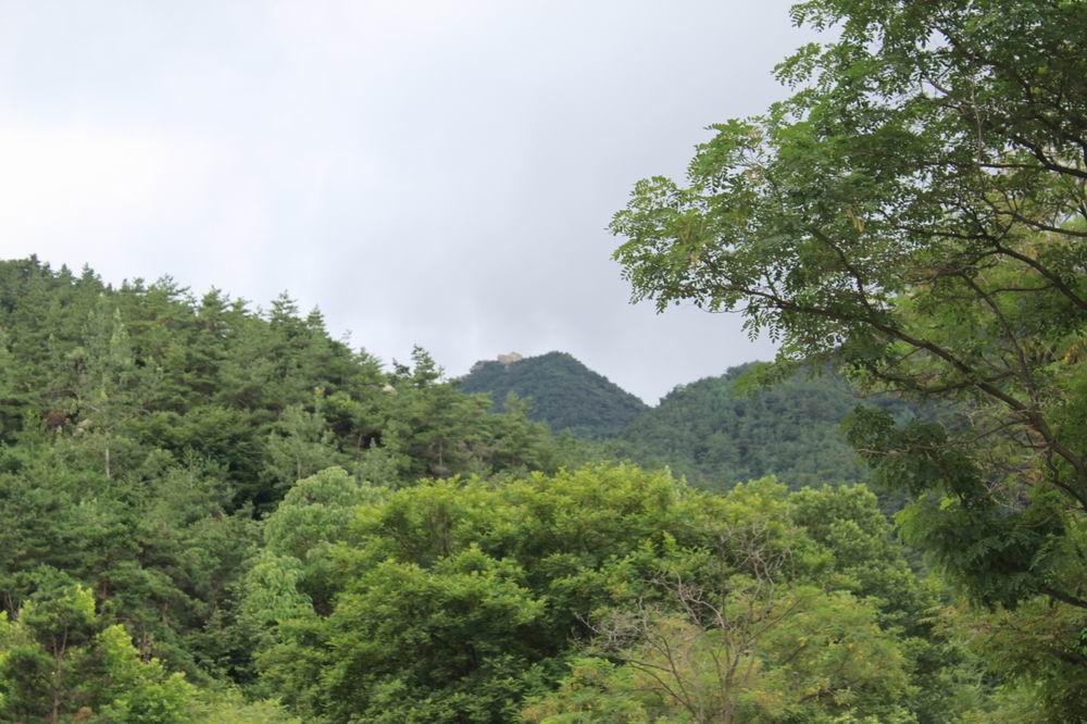 调整大小 IMG_1770.JPG